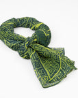 Leaf Life - Silk Scarf by Carol Martin